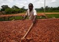 Ivory Coast’s cocoa crop to hold near last season’s, minister says