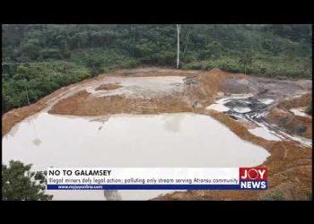 Mahama must adopt Bawumia’s anti-galamsey blueprint – Samson Lardy Anyenini