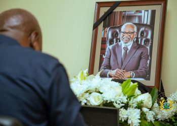 Mahama pays tribute to late Namibian leader Sam Nujoma
