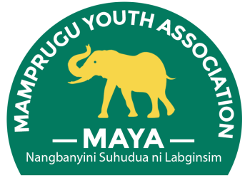 Mamprugu Youth Association condemns attacks on buses and military brutality