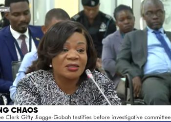 My husband ordered that I leave parliament amidst vetting chaos – Appointments Committee Clerk