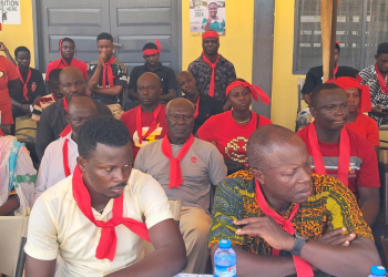 NYA expresses concern over Western Region’s exclusion in energy sector appointments