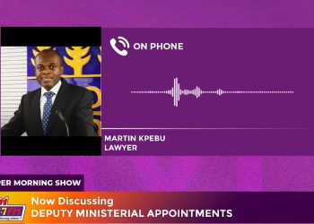 Political patronage has over-bloated Ghana’s public sector – Martin Kpebu