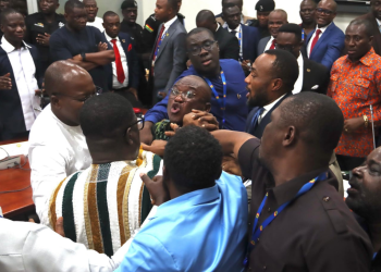 The Chaos, Cowardice, and the Collapse of Ghana’s Parliamentary Integrity.