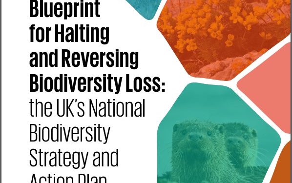 UK unveils new strategy to meet global biodiversity targets, reverse biodiversity loss by 2030 1 uk unveils new strategy to meet global biodiversity targets reverse biodiversity loss by 2030