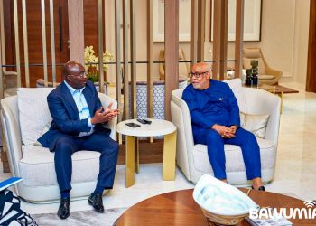 UN Resident Coordinator calls on Bawumia to deliver special UN message