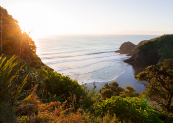 What Ghanaians should expect when travelling to New Zealand