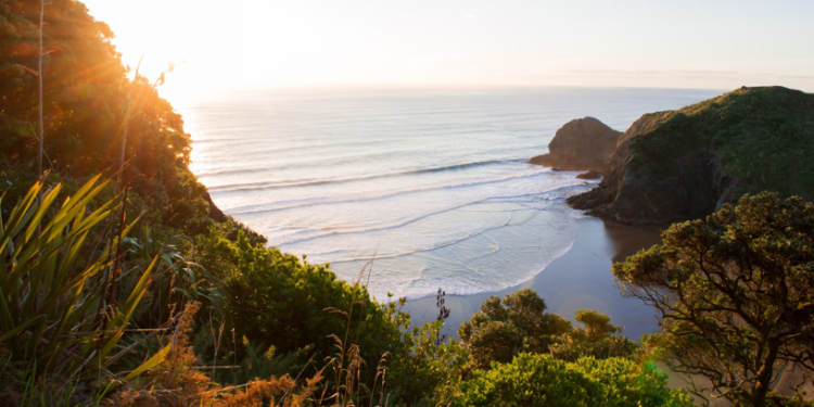 what ghanaians should expect when travelling to new zealand