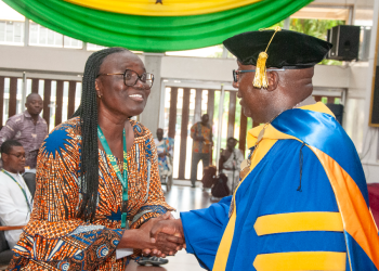 Africa has no energy crisis, let’s harness what we have – Prof Soboyejo