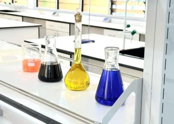 APSU 2000 Year Group to unveil $390,000 project