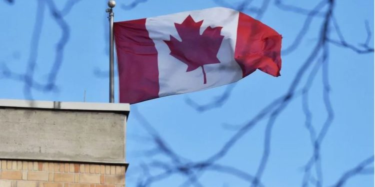 china executed four canadians for drug crimes says ottawa