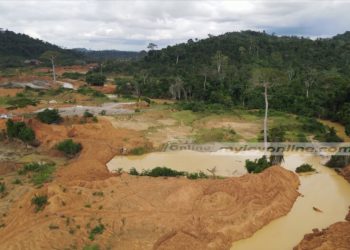 CSOs condemn arrest of forestry officer, demand Police commander’s removal over galamsey