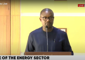Energy sector bleeding, something needs to be done about it – Jinapor
