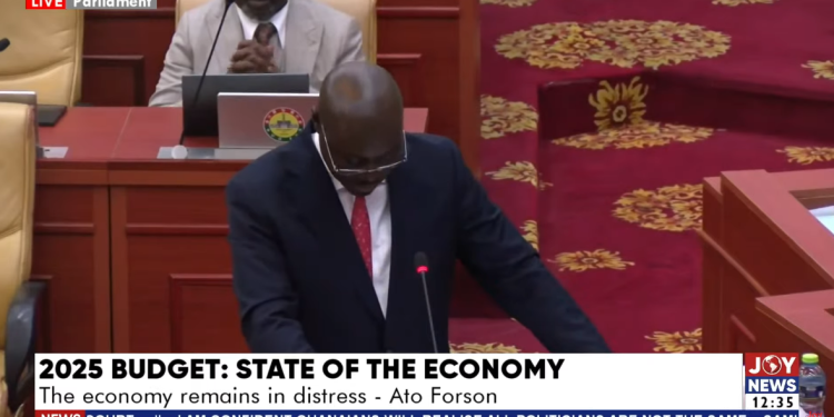 finance minister assures relief for unpaid pharmacists in 2025 budget