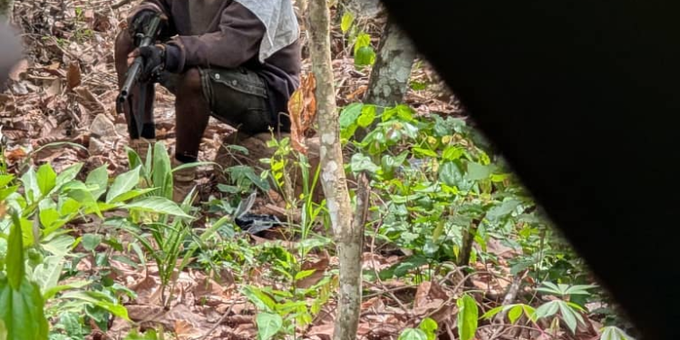 forestry commission officer fighting for life after machete attack by illegal miners in offin