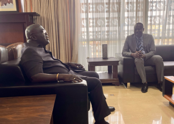 Government moves to revive NIB this year, pledges full recapitalisation