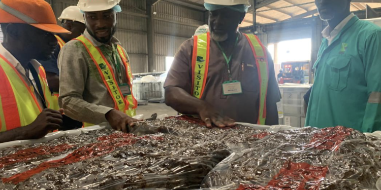 government pledges support for rubber industry to thrive