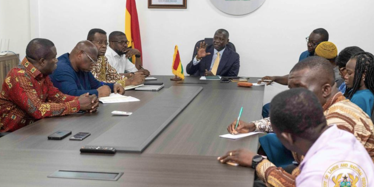 lands minister rallies support of media against galamsey