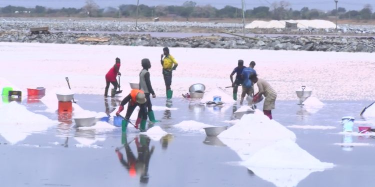 McDan begins search for partners to establish industrial salt hub 1 mcdan begins search for partners to establish industrial salt hub