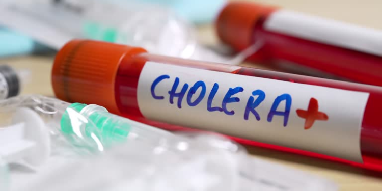 namibias cholera free decade ends with one confirmed case