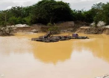 “Nea Ye Boe”: To Revoke or Amend? L.I on Mining in Forest Reserves