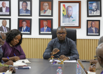 Parliament approves ¢1.2bn for Ministry of Energy and Green Transition