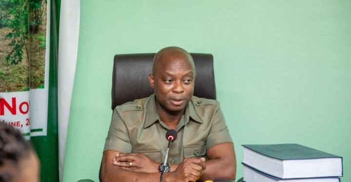 re confusion rocks forestry commission over new ceos alleged refusal to revoke illegal promotions