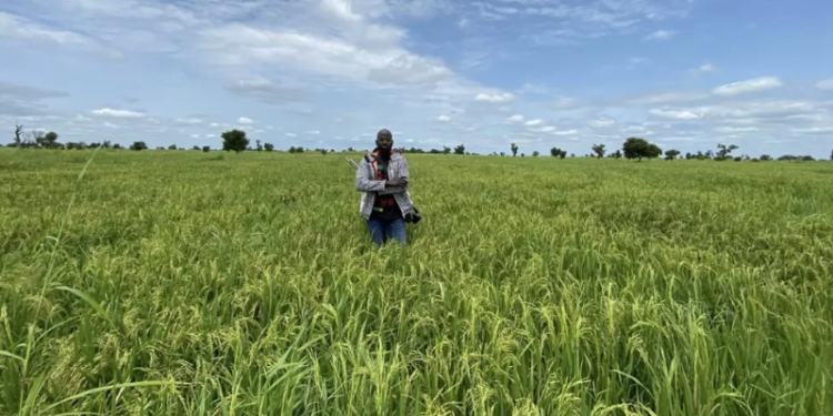 securing the future of smart farming internet of things iot security and data privacy challenges in ghanas agricultural revolution