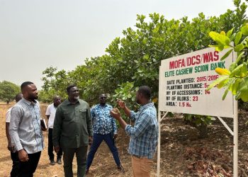 TCDA highlights measures to reclaim 910 acres of encroached land at Wenchi Agricultural Station