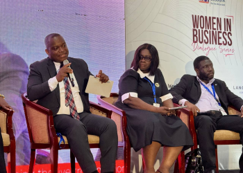 Women’s participation key to economic growth –Yaw Njorgnab