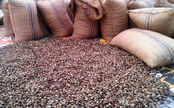 ACA calls for clear and harmonised policy guidelines for raw cashew exports from Africa 1 aca calls for clear and harmonised policy guidelines for raw cashew exports from africa