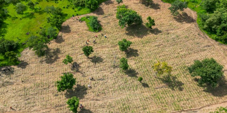 ace4es consortium advocates enhanced agriculture to ghanas nationally determined contributions