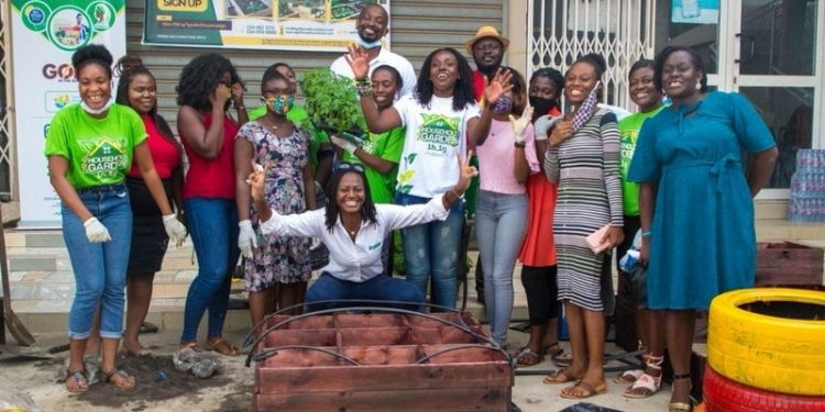 boost to bloom project agrihouse foundations support for youth in horticulture and inclusive agribusiness in northern ghana