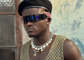 Burna Boy gave me $13K, but I’d have preferred song collab – Portable