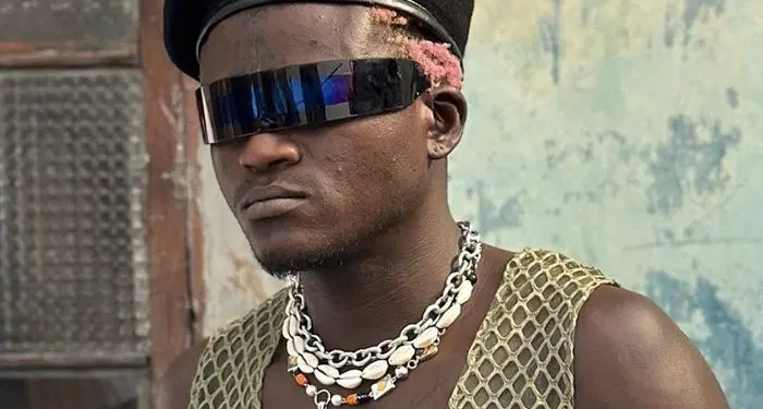 burna boy gave me 13k but id have preferred song collab portable
