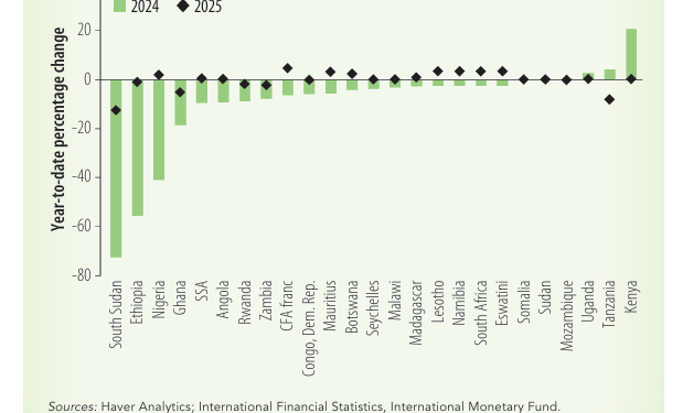 cedi depreciates by about 4 to dollar so far in 2025 world bank