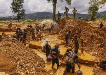 Clean Jobs Company denies engaging in illegal mining in Tano Anwia forest reserve