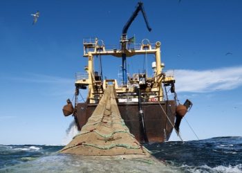 Fisheries Ministry suspends licenses of 4 industrial trawl vessels