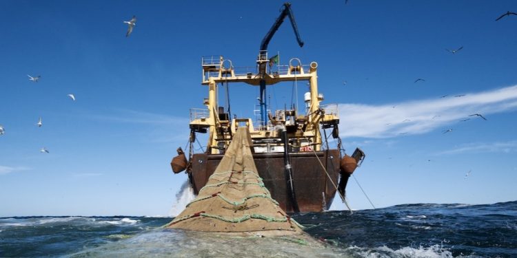 Fisheries Ministry suspends licenses of 4 industrial trawl vessels 1 fisheries ministry suspends licenses of 4 industrial trawl vessels