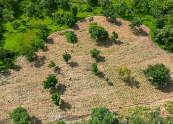 Ghana’s $25bn agreement must deliver real benefits to vulnerable communities – CCCFS