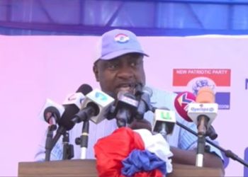 ‘I’ve called for NPP presidential primaries to be conducted very early’ – Nana B