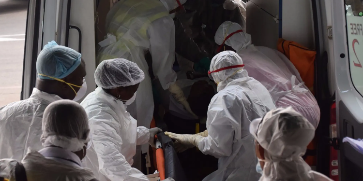 lassa fever kills 118 in nigeria over last three months