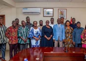 Marietta Brew chairs new UG Governing Council