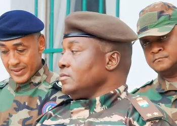 Niger dumps French, adopts Hausa as official language