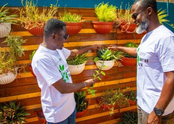 Nviron Hive and Npontu Technologies partner to transform Africa’s ESG, Climate Tech Ecosystem