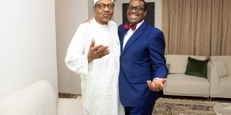outgoing afdb president visits buhari expresses gratitude for support