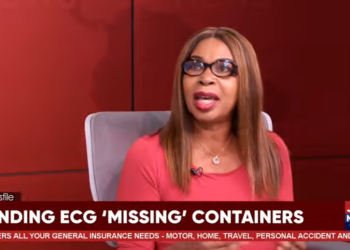 ‘This is a clear organised crime’ – Victoria Bright on missing ECG containers