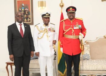 We have needed political will to fight galamsey – Defence Minister