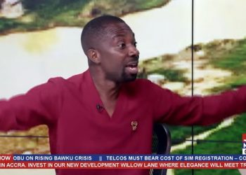 We should be careful about how we attempt to politicise galamsey – Miracles Aboagye