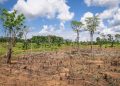 World Bank supports Ghana with $125.94m to tackle climate-related agricultural losses